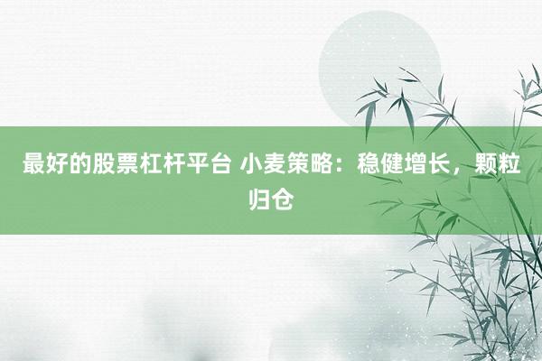 最好的股票杠杆平台 小麦策略：稳健增长，颗粒归仓