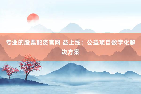 专业的股票配资官网 益上线：公益项目数字化解决方案
