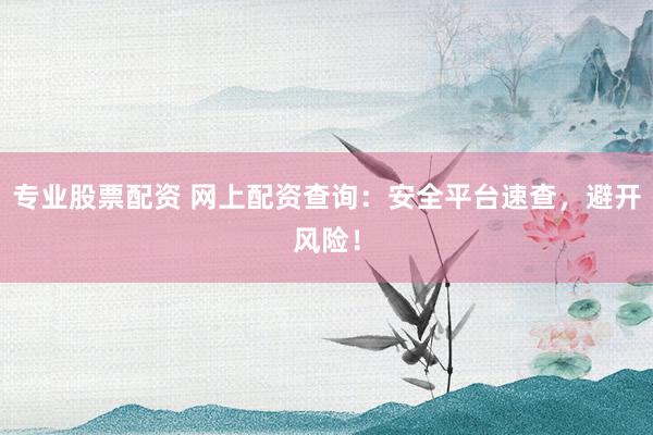 专业股票配资 网上配资查询：安全平台速查，避开风险！