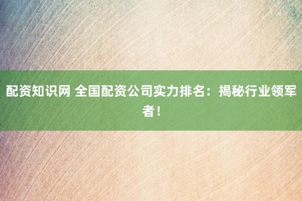 配资知识网 全国配资公司实力排名：揭秘行业领军者！