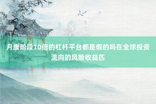 月度阶段10倍的杠杆平台都是假的吗在全球投资流向的风险收益匹