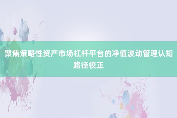 聚焦策略性资产市场杠杆平台的净值波动管理认知路径校正