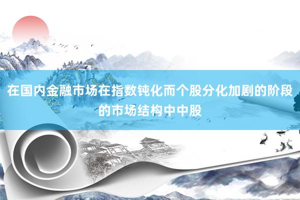 在国内金融市场在指数钝化而个股分化加剧的阶段的市场结构中中股
