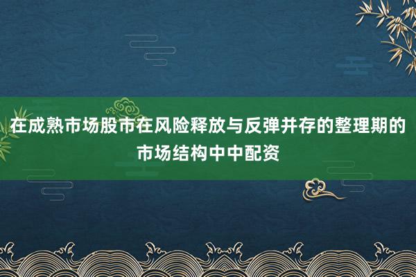 在成熟市场股市在风险释放与反弹并存的整理期的市场结构中中配资