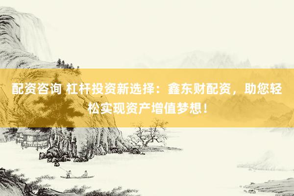 配资咨询 杠杆投资新选择:鑫东财配资,助您轻松实现资产增值梦想!