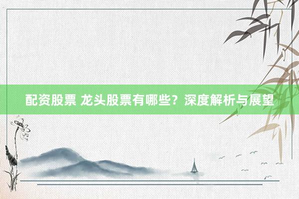 配资股票 龙头股票有哪些？深度解析与展望