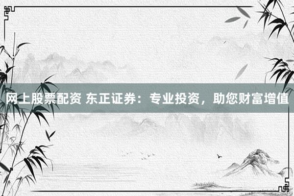 网上股票配资 东正证券：专业投资，助您财富增值