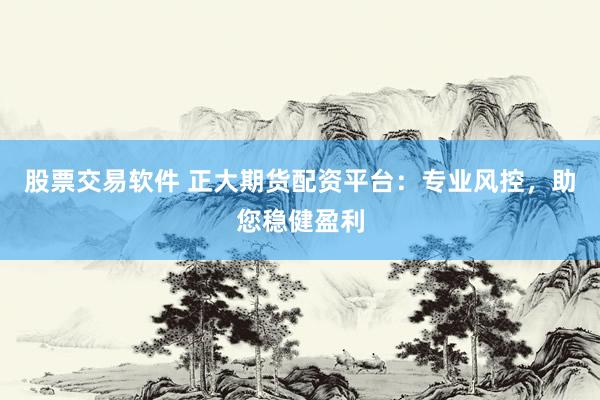 股票交易软件 正大期货配资平台：专业风控，助您稳健盈利