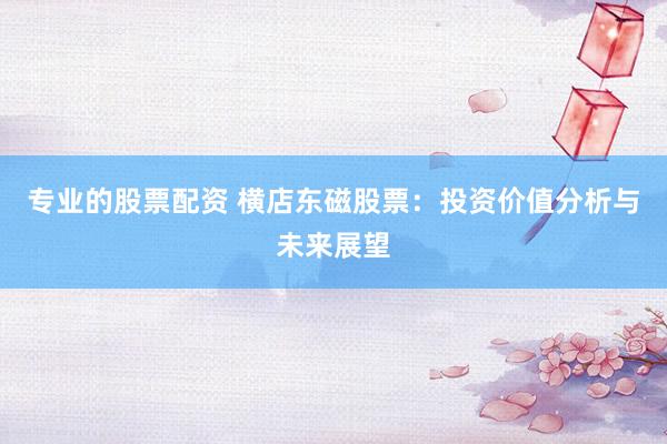 专业的股票配资 横店东磁股票:投资价值分析与未来展望