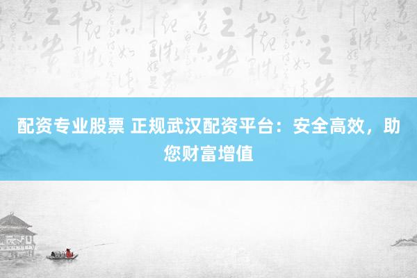 配资专业股票 正规武汉配资平台:安全高效,助您财富增值