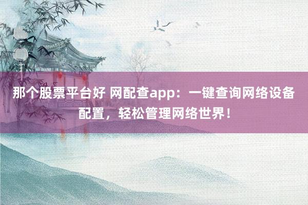 那个股票平台好 网配查app：一键查询网络设备配置，轻松管理网络世界！