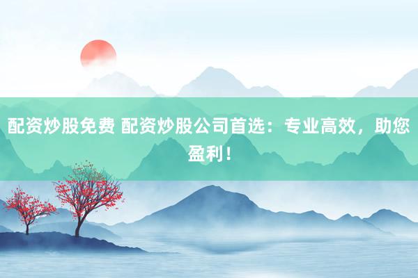 配资炒股免费 配资炒股公司首选：专业高效，助您盈利！